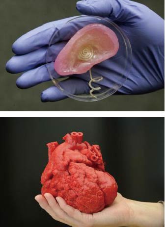 Biological 3D Printing